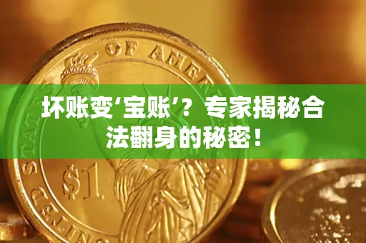 北京坏账变‘宝账’？专家揭秘合法翻身的秘密！