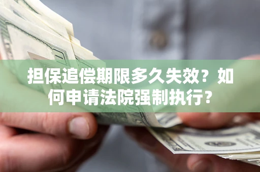 北京担保追偿期限多久失效？如何申请法院强制执行？