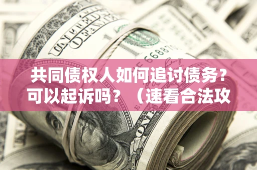北京共同债权人如何追讨债务？可以起诉吗？（速看合法攻略）