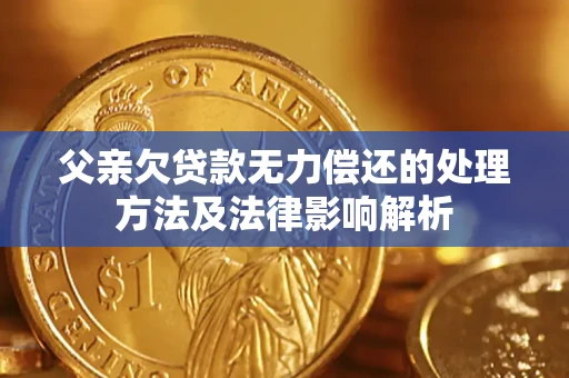 北京父亲欠贷款无力偿还的处理方法及法律影响解析